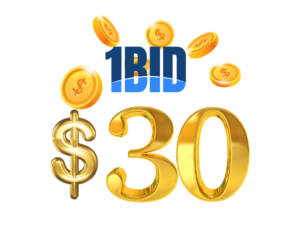 OneBid Broker, $30 Welcome Bonus, forex bonus, trading bonus, updated terms, 2024 promotion, trading conditions, no deposit bonus, forex trading, bonus strategy, bonus terms, trading turnover, new traders, forex platform